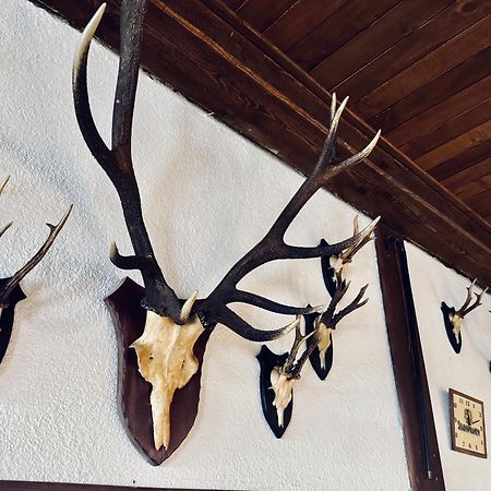 ホテル Myslivna ハルラホフ エクステリア 写真